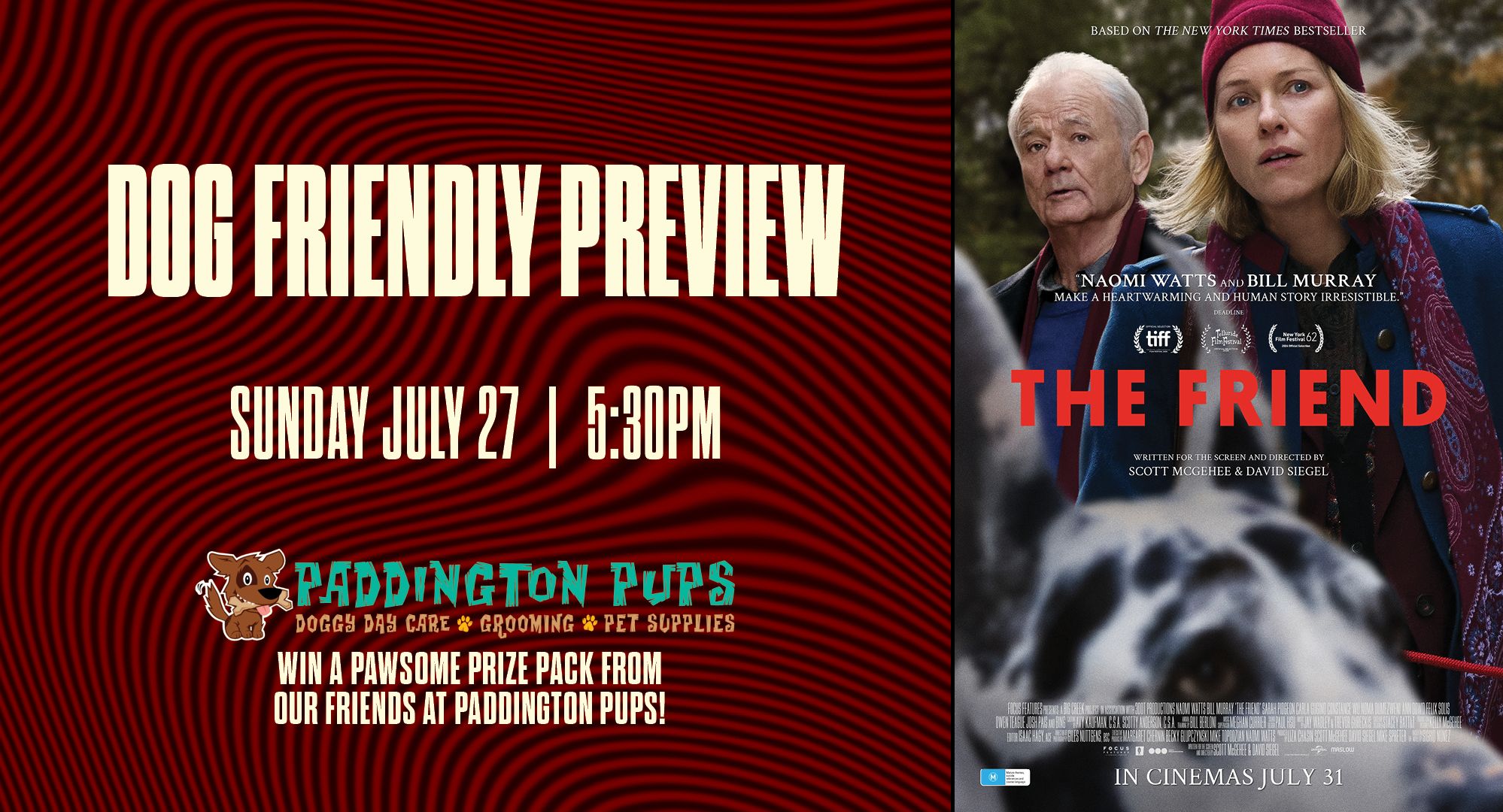 The Friend Preview Cover